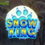 Scatter Slot Snow King