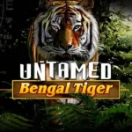 Review Slot Bengal Tiger