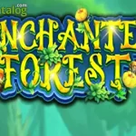 Slot Gacor Enchanted Forest