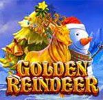 RTP Slot Golden Reindeer